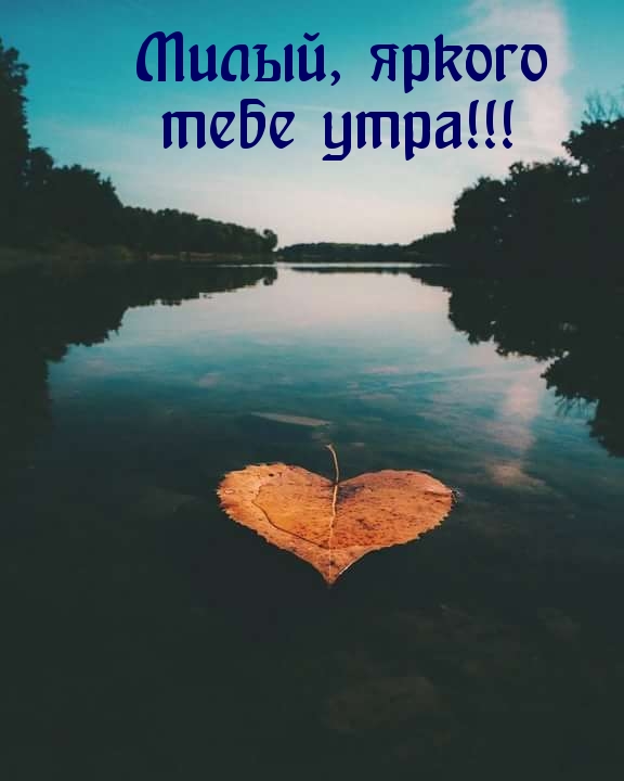 Милый, яркого тебе утра!