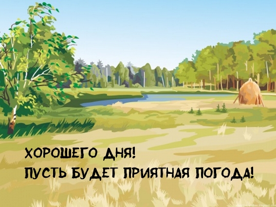 Хорошего дня! Пусть будет приятная погода!