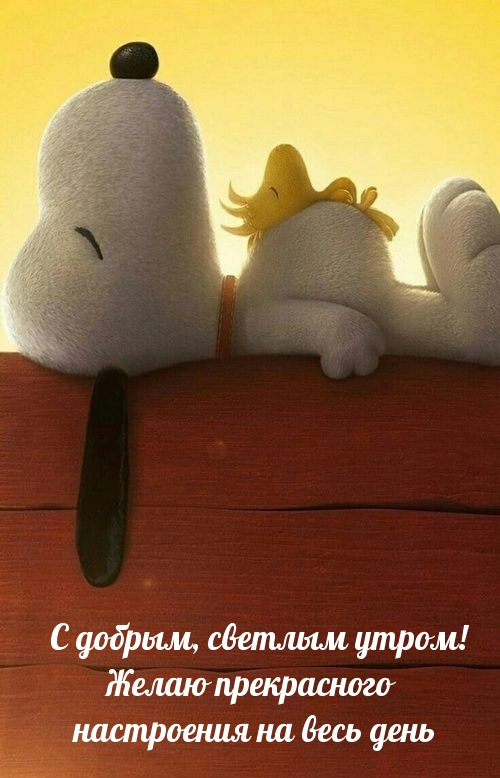 С добрым, светлым утром! Желаю прекрасного настроения