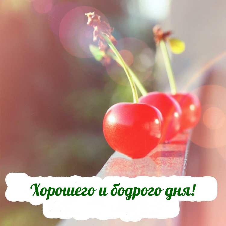 Хорошего и бодрого дня!