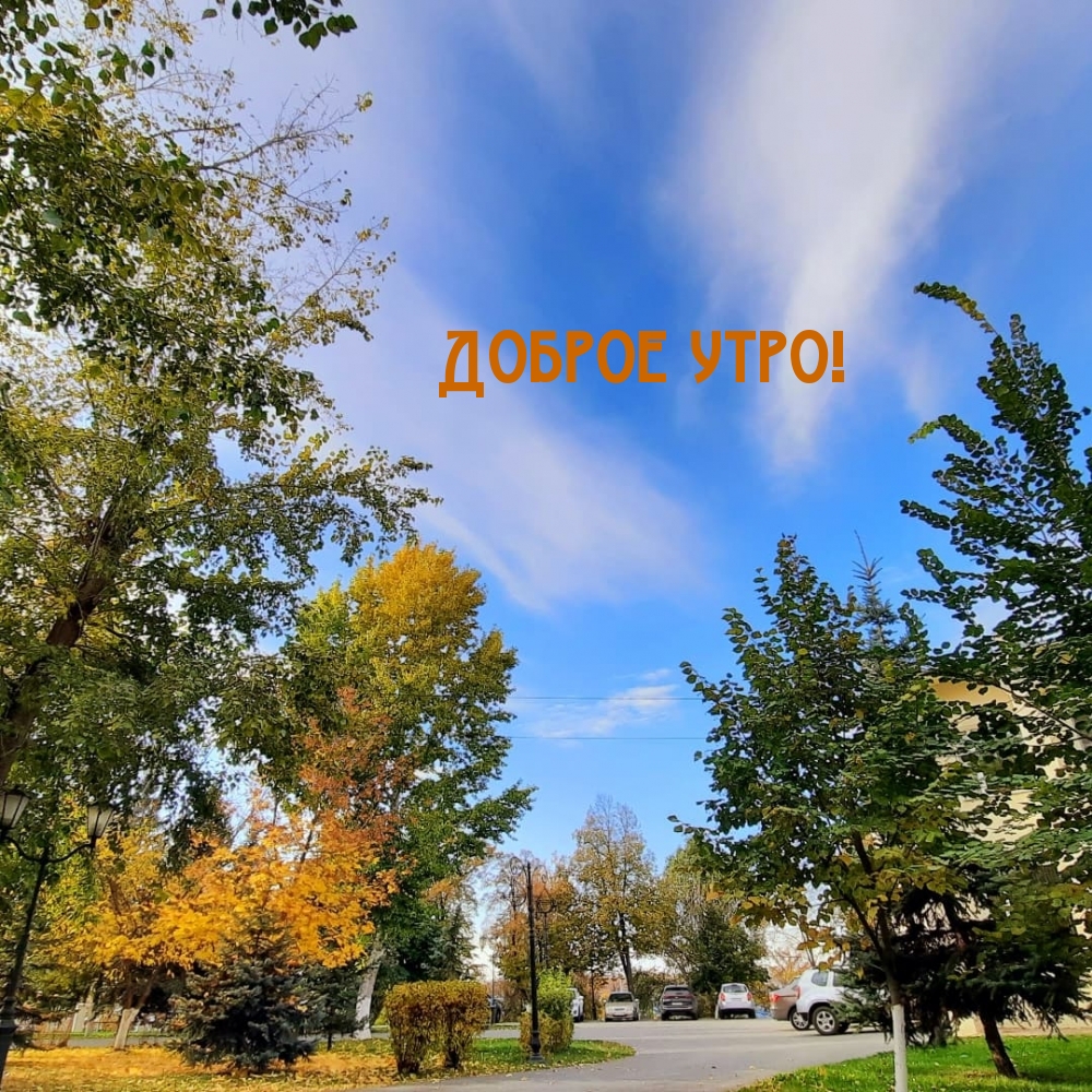 Доброе утро!