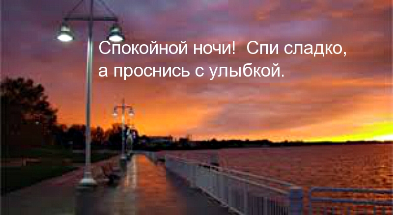Спокойной ночи! Спи сладко!