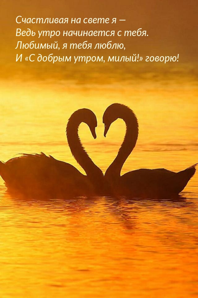 Любимый, я тебя люблю, и «С добрым утром, милый!» говорю!