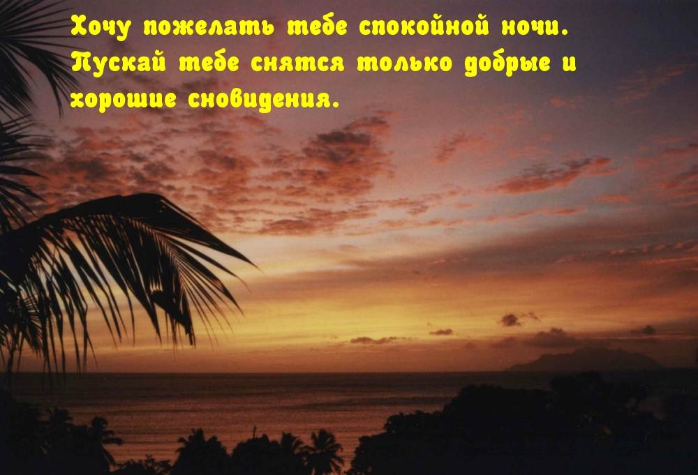 Хочу пожелать тебе спокойной ночи
