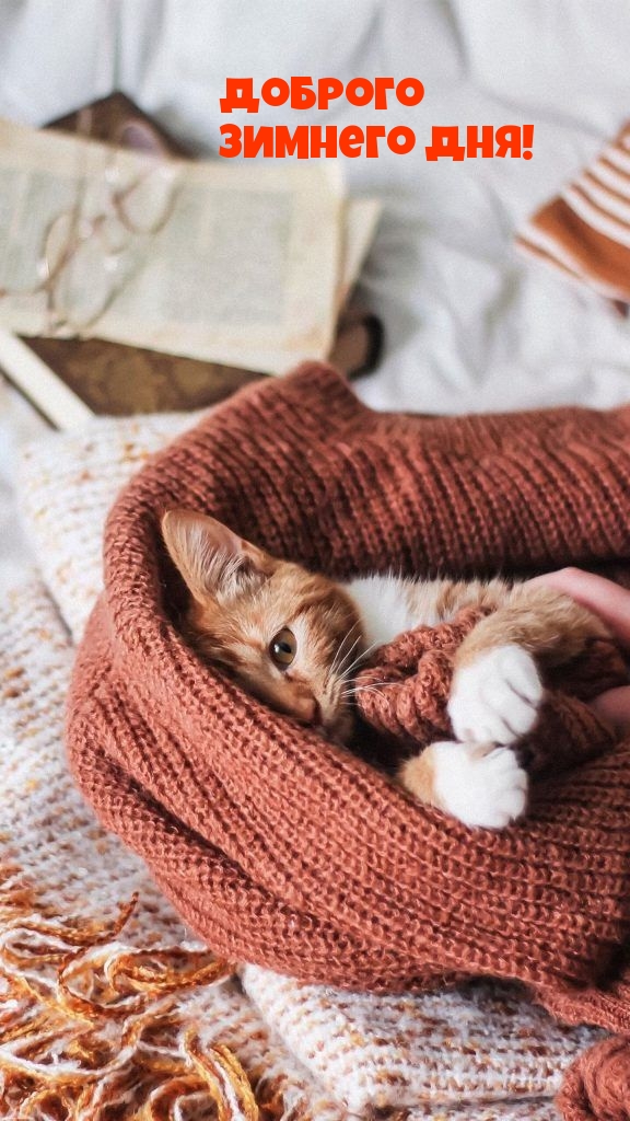 Доброго зимнего дня!