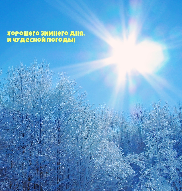 Хорошего зимнего дня, и чудесной погоды!