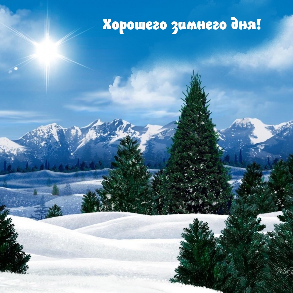 Хорошего зимнего дня!