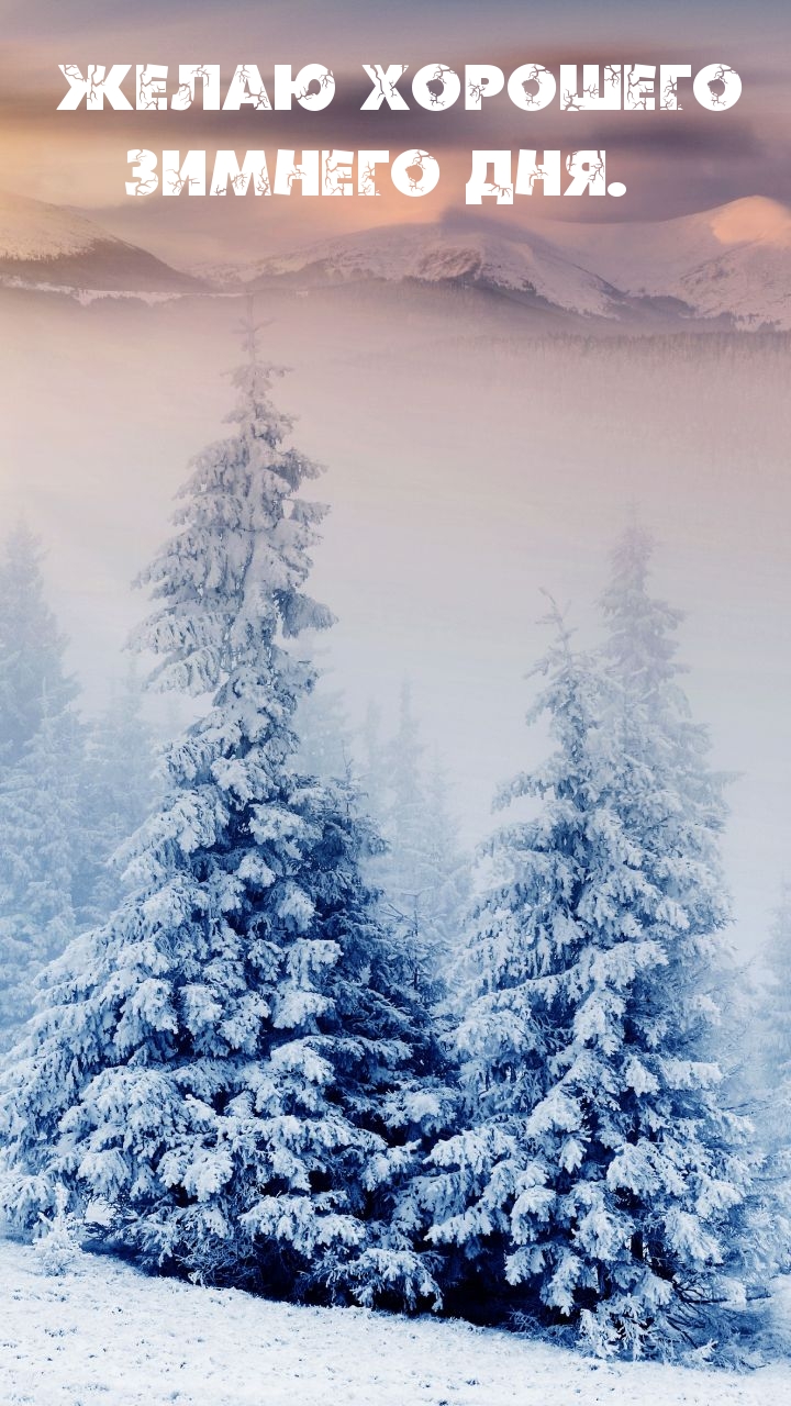 Желаю хорошего зимнего дня.