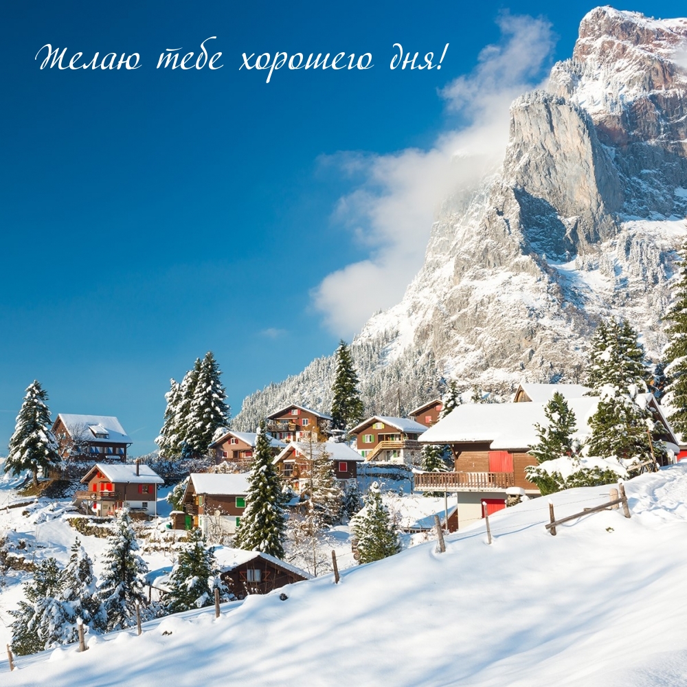 Желаю тебе хорошего дня!