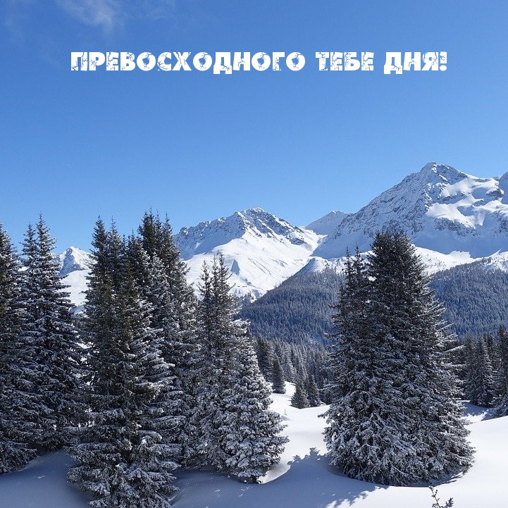 Превосходного тебе дня!
