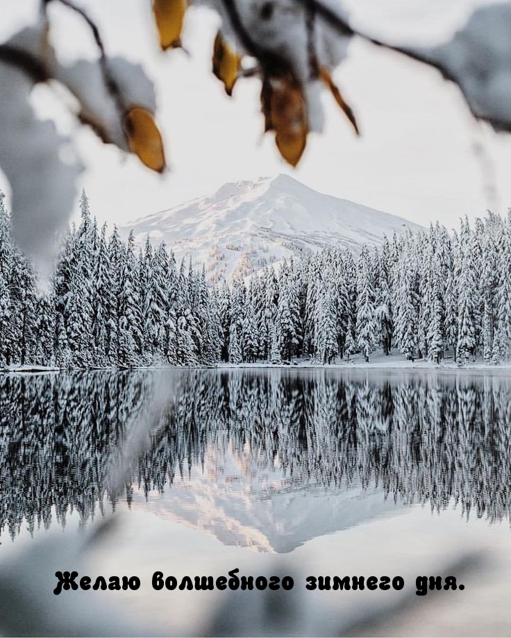 Желаю волшебного зимнего дня.