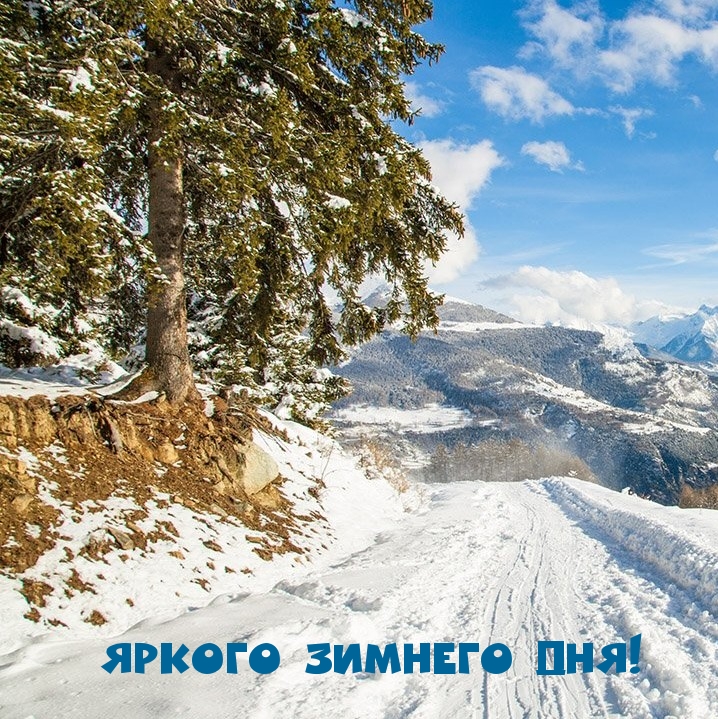 Яркого зимнего дня!