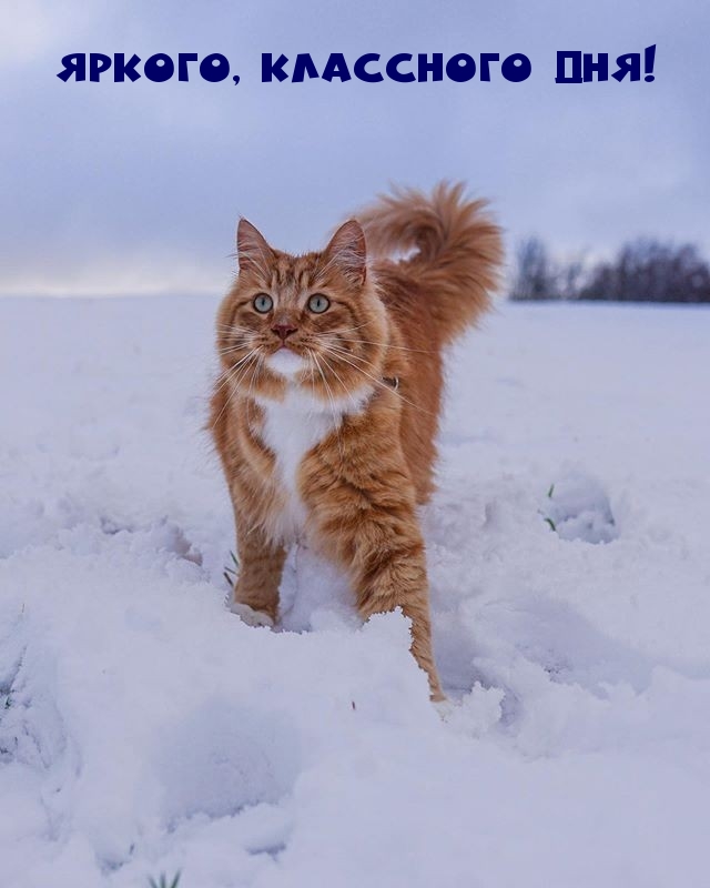 Яркого, классного дня!