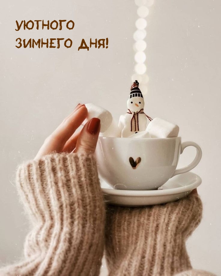 Уютного зимнего дня!