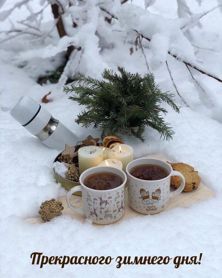 Прекрасного зимнего дня!