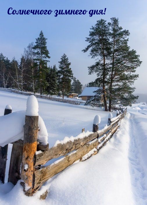 Солнечного зимнего дня!