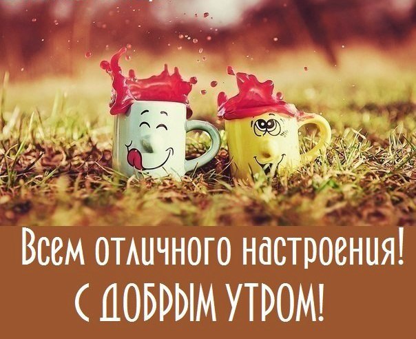 Всем отличного настроения! С добрым утром