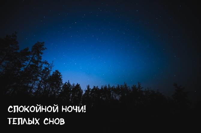 Спокойной ночи! Теплых снов