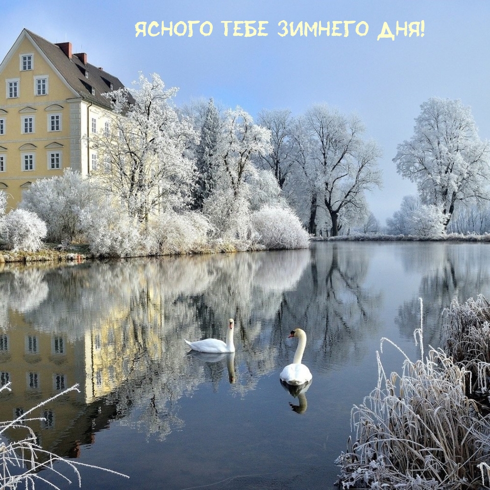 Ясного тебе зимнего дня!