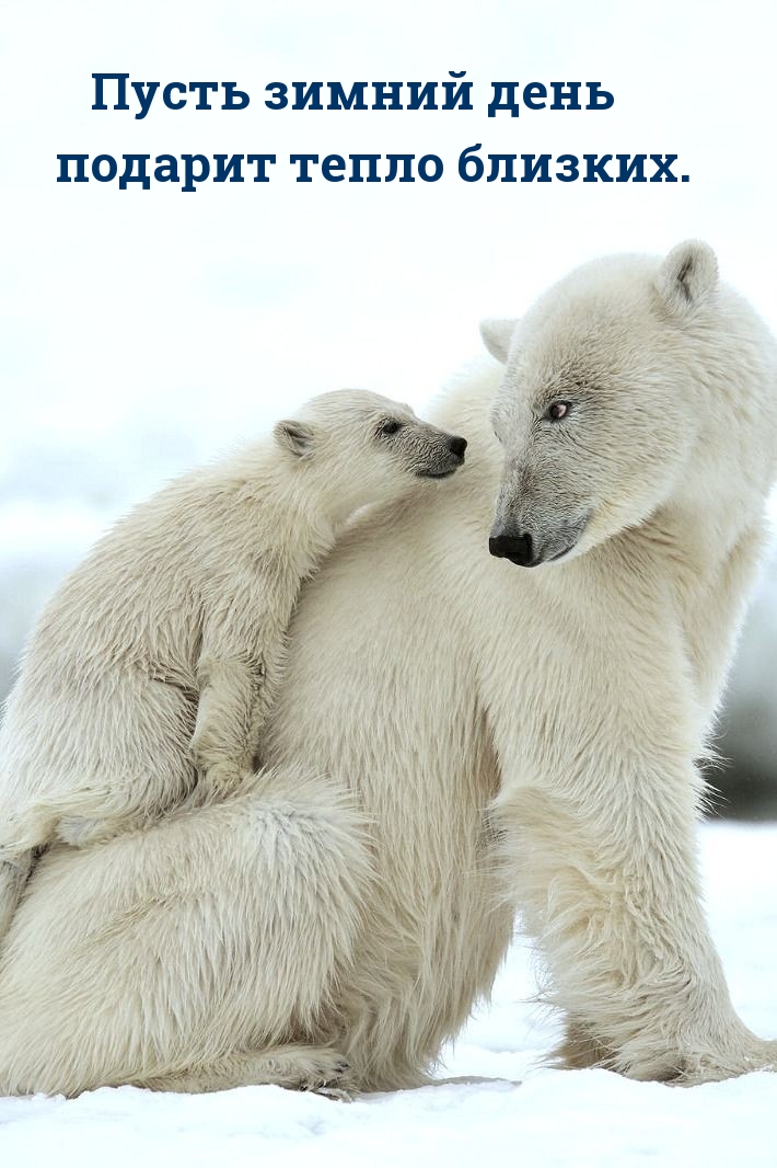 Пусть зимний день подарит тепло близких.