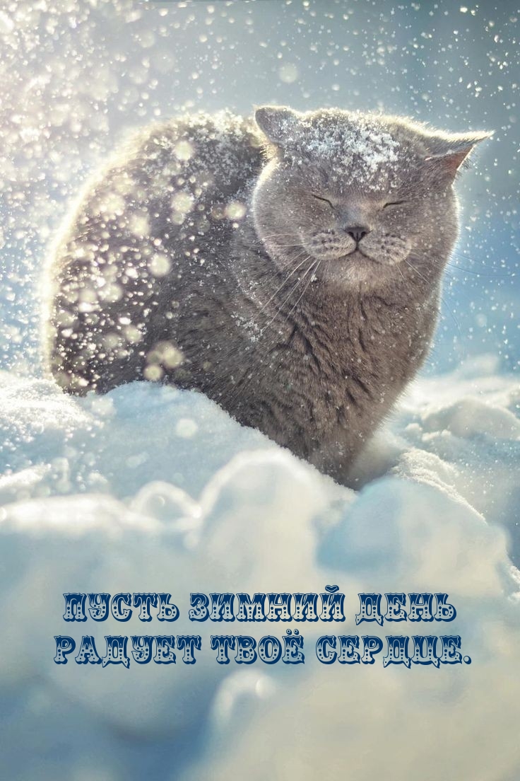 Пусть зимний день радует твоё сердце.