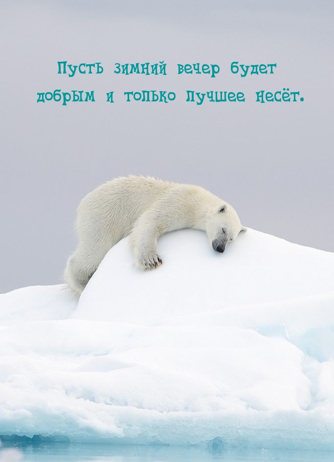 Пусть зимний вечер будет добрым и только лучшее несёт.