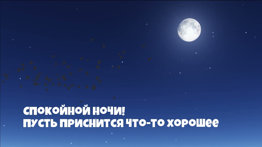 Спокойной ночи! Пусть приснится что-то хорошее