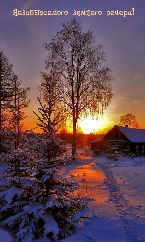 Незабываемого зимнего вечера!