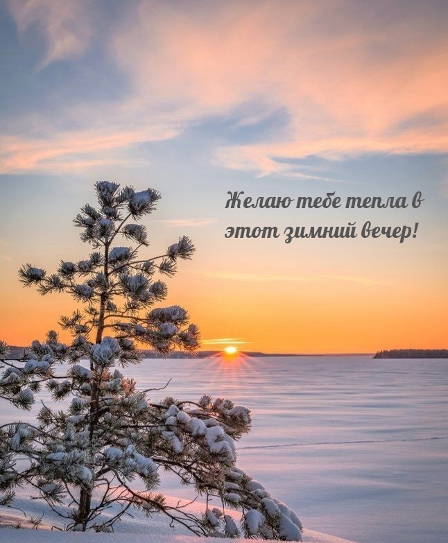 Желаю тебе тепла в этот зимний вечер!