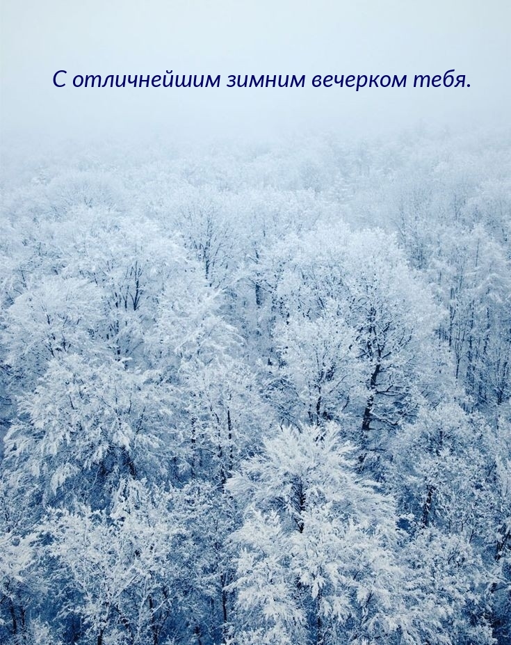 С отличнейшим зимним вечерком тебя.