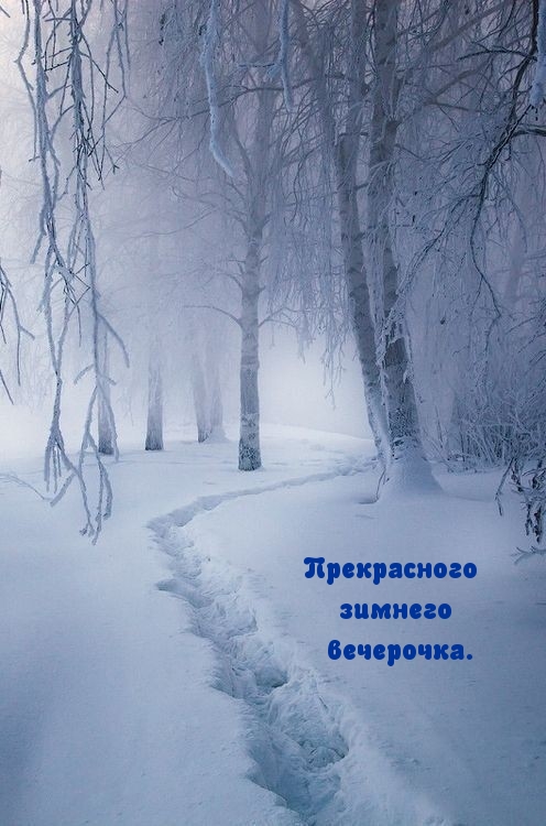 Прекрасного зимнего вечерочка.