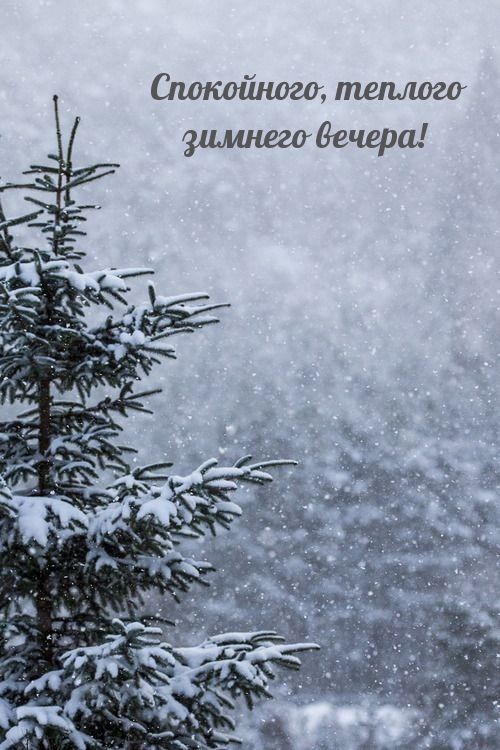 Спокойного, теплого зимнего вечера!