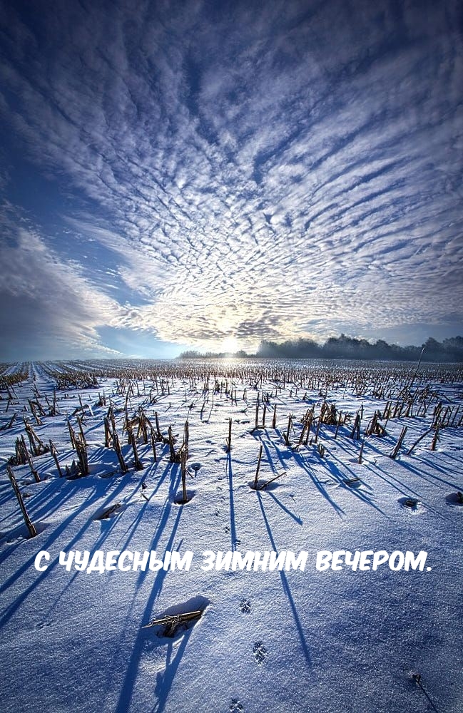 Картинка - С чудесным зимним вечером..