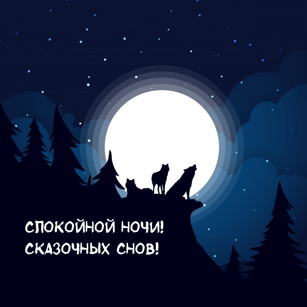 Спокойной ночи! Сказочных снов!