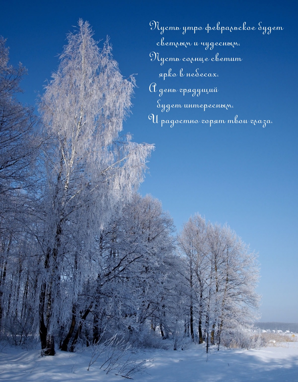 Пусть утро февральское будет светлым и чудесным.
