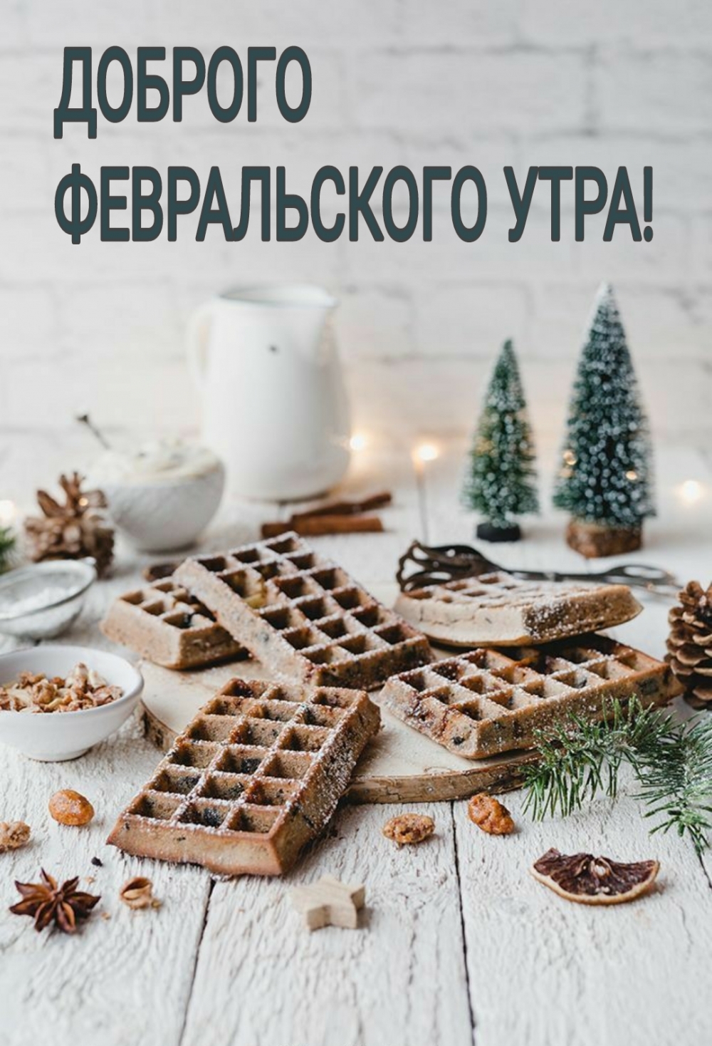 ДОБРОГО ФЕВРАЛЬСКОГО УТРА!