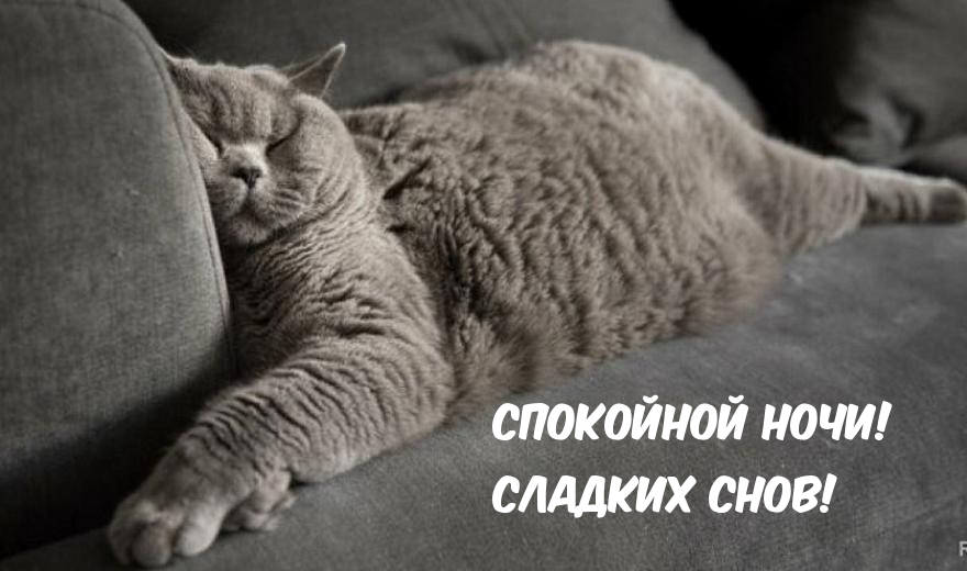 Спокойной ночи! Сладких снов!