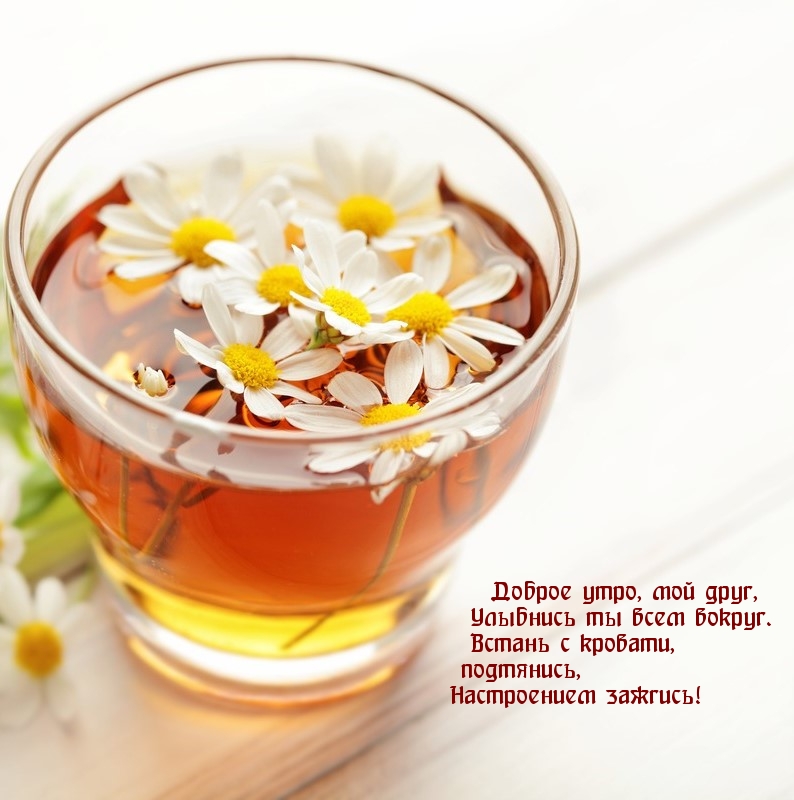Доброе утро, мой друг