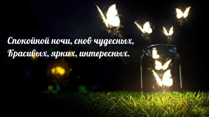Спокойной ночи, снов чудесных!