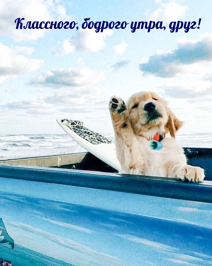 Классного, бодрого утра, друг!