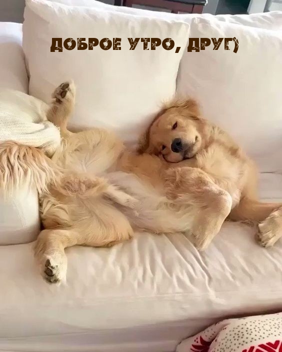 Доброе утро, друг)