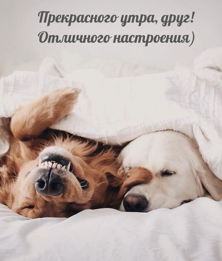 Прекрасного утра, друг! Отличного настроения)