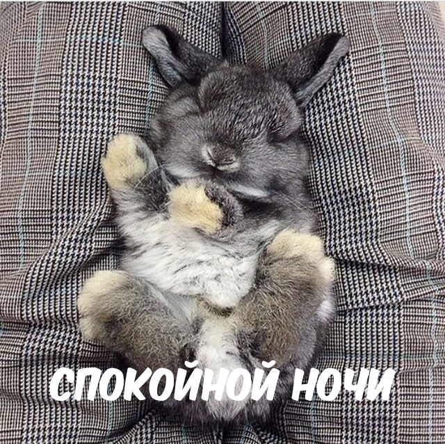 СПОКОЙНОЙ НОЧИ