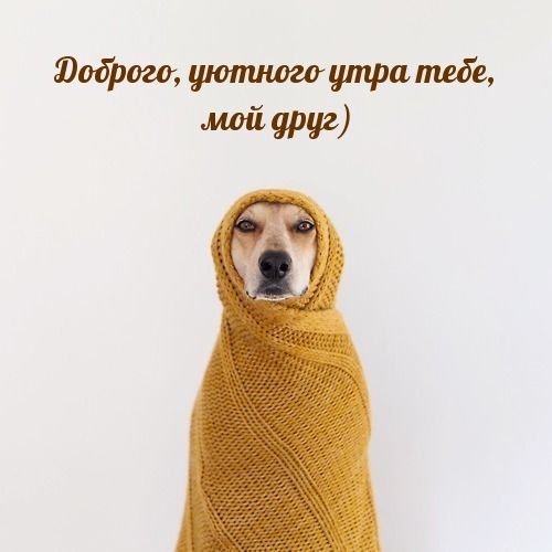 Доброго, уютного утра тебе, мой друг)