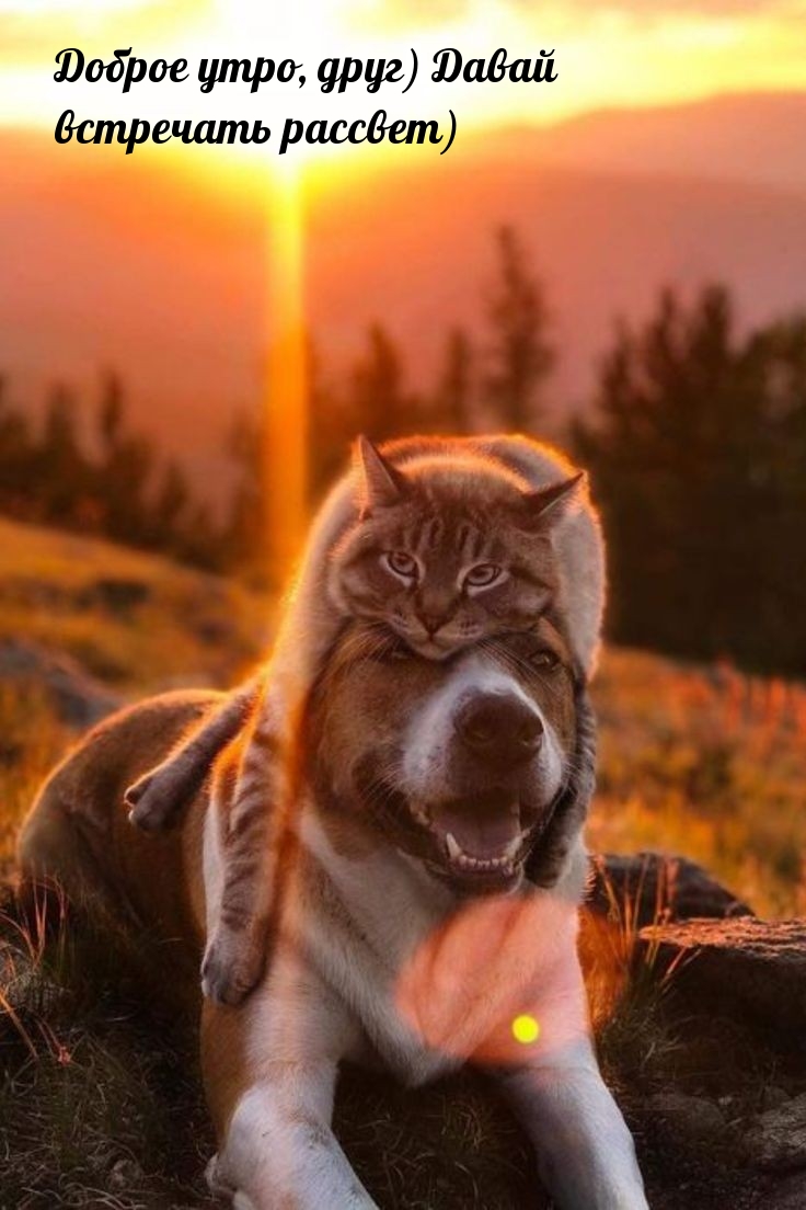 Доброе утро, друг) Давай встречать рассвет)
