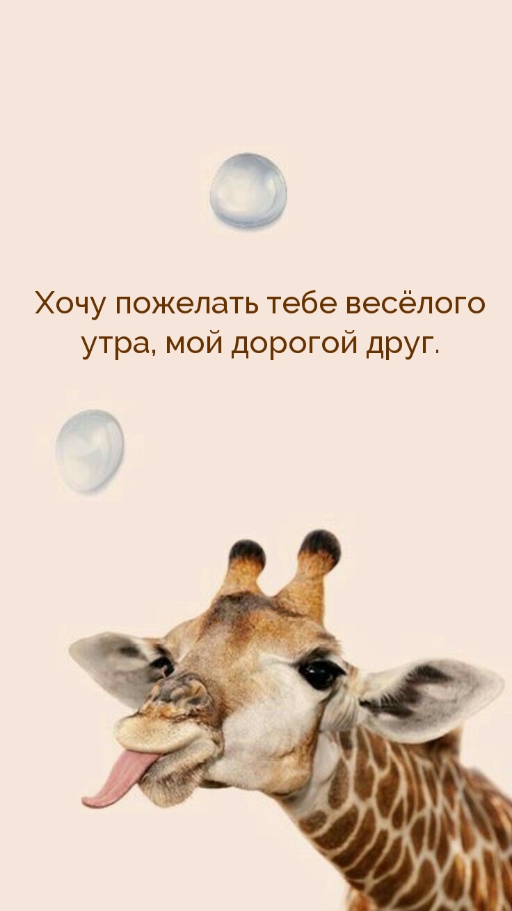 Хочу пожелать тебе весёлого утра, мой дорогой друг.