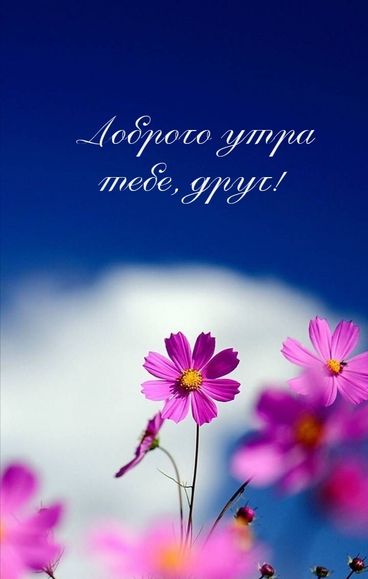 Доброго утра тебе, друг!