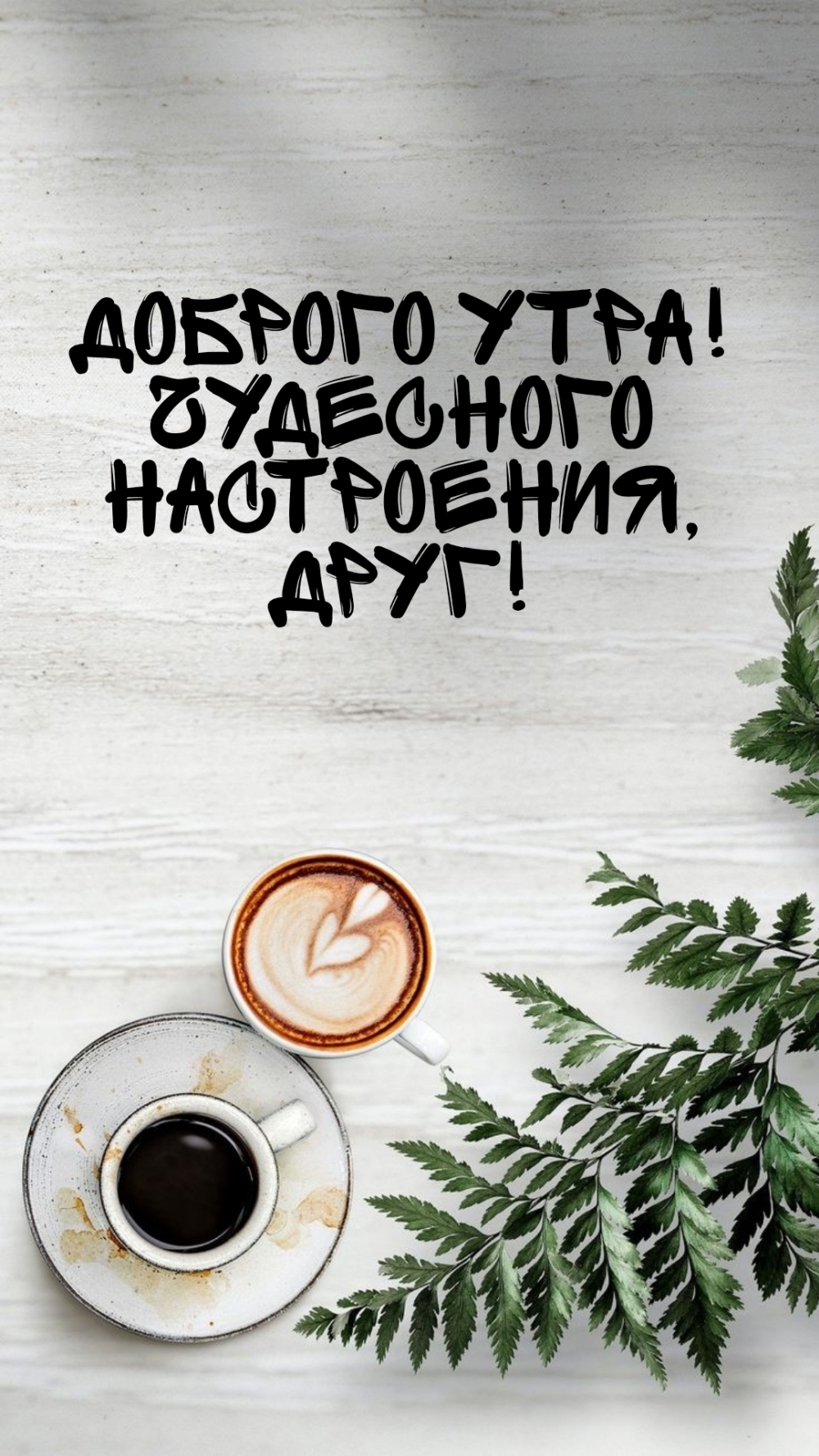 Доброго утра! Чудесного настроения, друг!