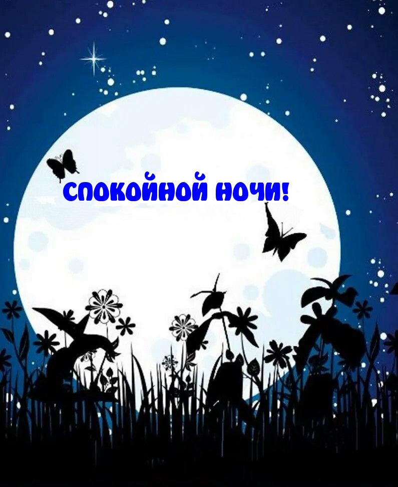 СПОКОЙНОЙ НОЧИ!
