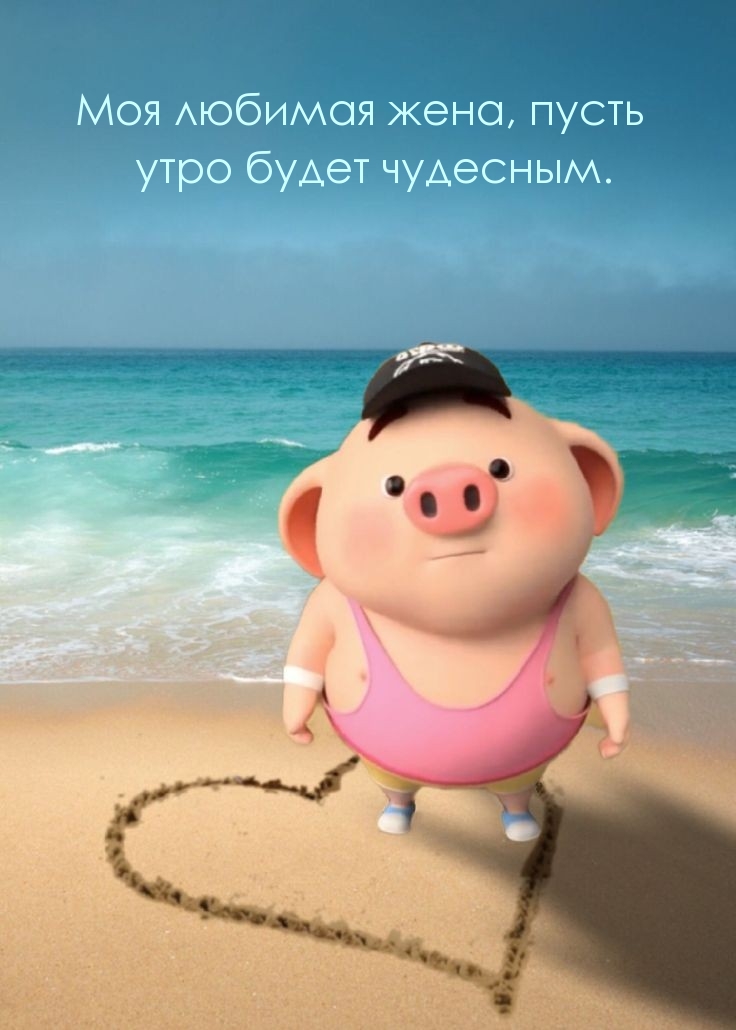 Моя любимая жена, пусть утро будет чудесным.